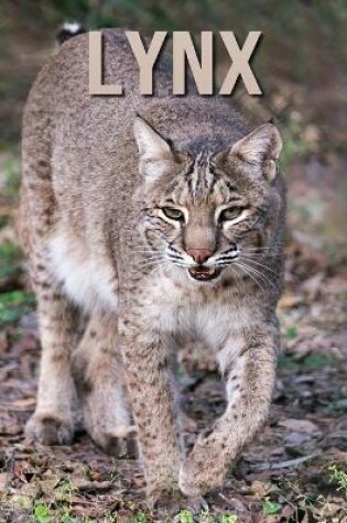 Cover of Lynx