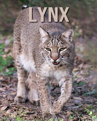 Book cover for Lynx