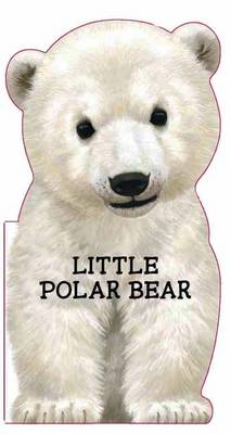 Book cover for Little Polar Bear