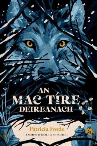 Cover of An Mac Tire Deireanach