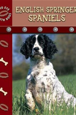 Cover of English Springer Spaniels