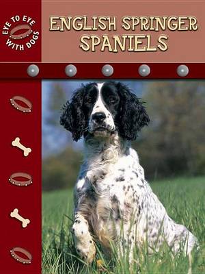 Book cover for English Springer Spaniels