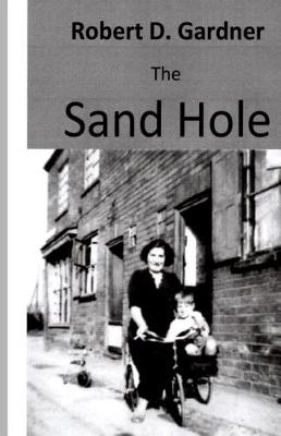Book cover for The Sand Hole