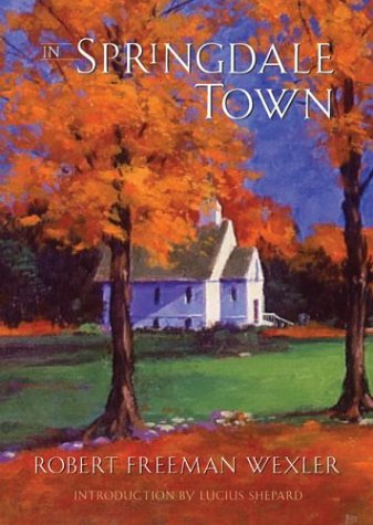 Book cover for In Springdale Town