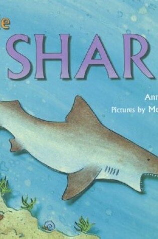 Cover of Little Shark