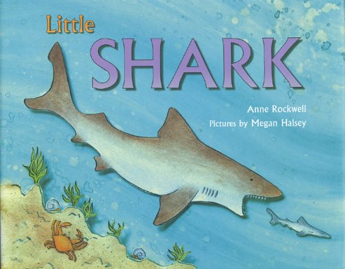 Book cover for Little Shark