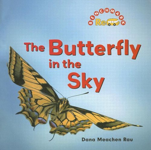 Book cover for The Butterfly in the Sky