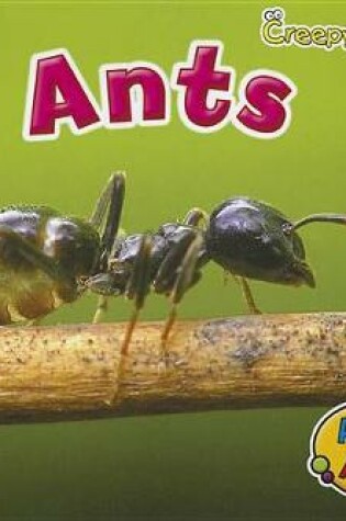 Cover of Ants (Creepy Critters)