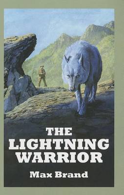 Book cover for The Lightning Warrior