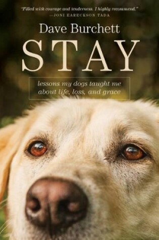 Cover of Stay