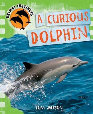 Cover of A Curious Dolphin