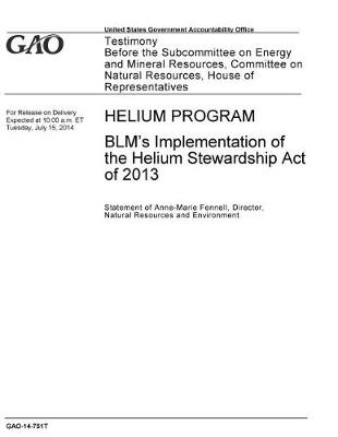 Book cover for Helium Program