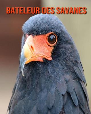 Book cover for Bateleur des Savanes