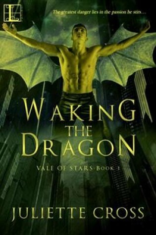 Cover of Waking the Dragon