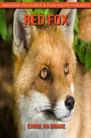 Cover of Red Fox