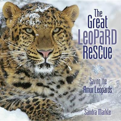 Book cover for The Great Leopard Rescue