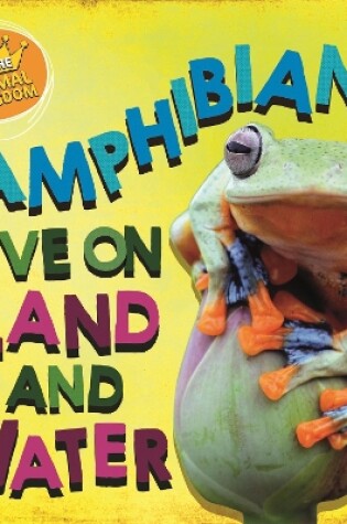Cover of In the Animal Kingdom: Amphibians Live on Land and in Water