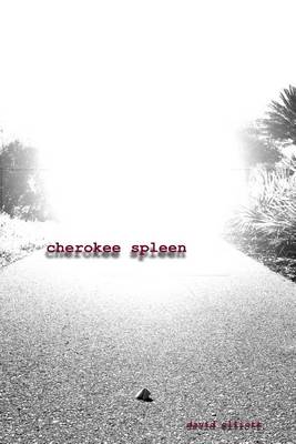 Book cover for Cherokee Spleen