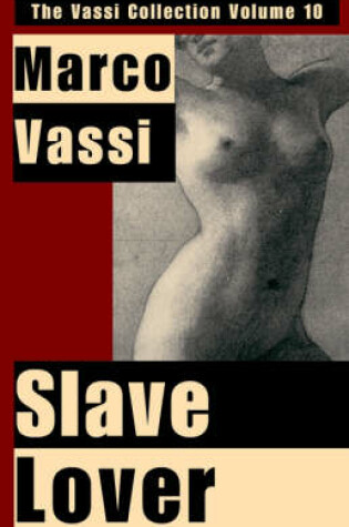 Cover of Slave Lover