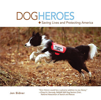 Book cover for Dog Heroes
