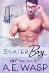 Book cover for Skater Boy