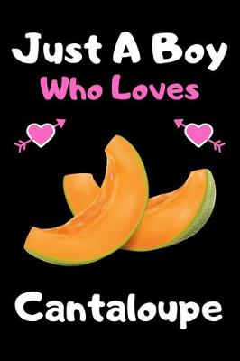 Book cover for Just a boy who loves cantaloupe