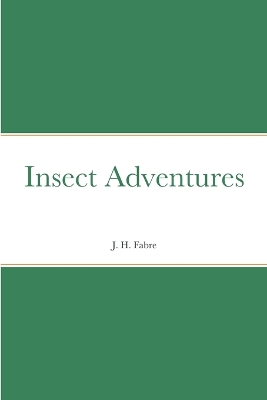 Book cover for Insect Adventures