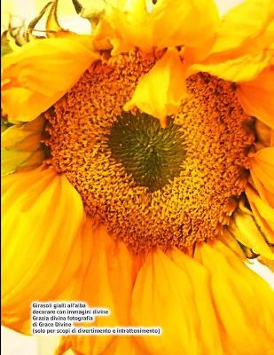 Book cover for Girasoli gialli all'alba decorare con immagini divine Grazia divina fotografia