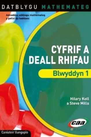 Cover of Datblygu Mathemateg: Cyfrif a Deall Rhifau Blwyddyn 1