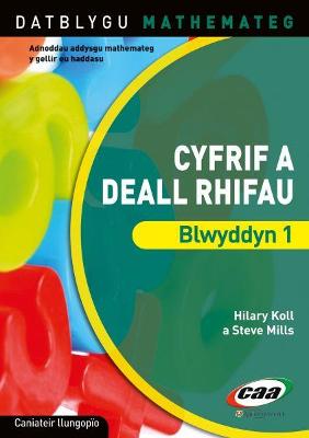 Book cover for Datblygu Mathemateg: Cyfrif a Deall Rhifau Blwyddyn 1