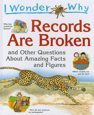 Book cover for I Wonder Why Records Are Broken