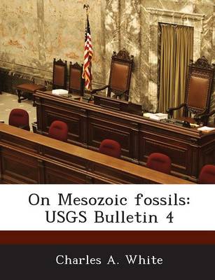 Book cover for On Mesozoic Fossils