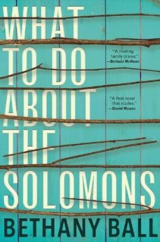 Cover of What to Do about the Solomons