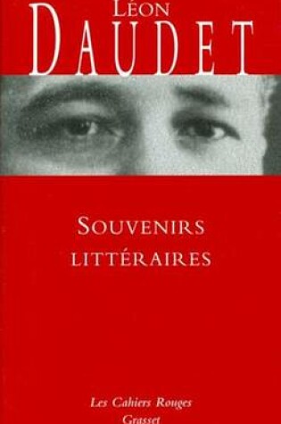 Cover of Souvenirs Litteraires