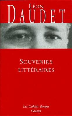 Book cover for Souvenirs Litteraires