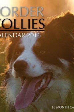 Cover of Border Collies Calendar 2016