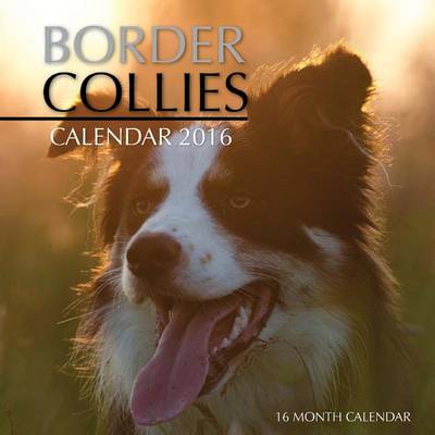 Book cover for Border Collies Calendar 2016