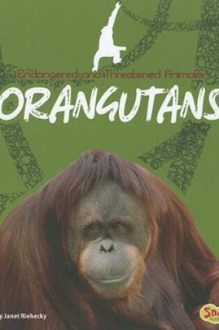 Cover of Orangutans