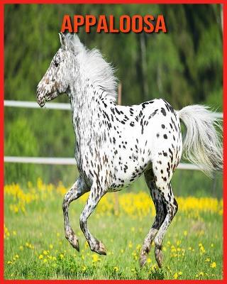 Book cover for Appaloosa