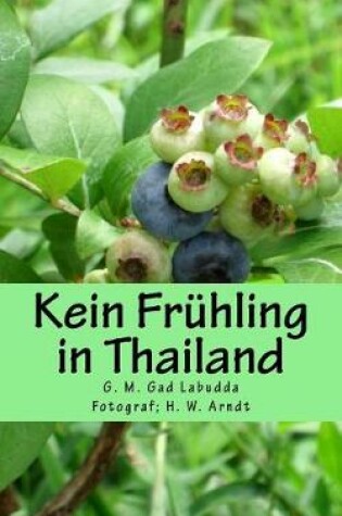 Cover of Kein Fruhling in Thailand