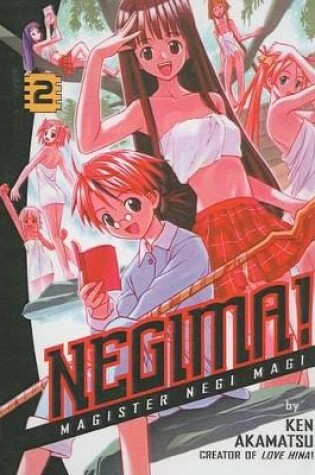 Cover of Negima!, Volume 2