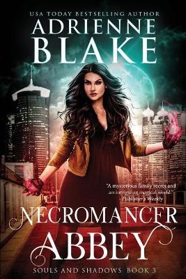 Book cover for Necromancer Abbey