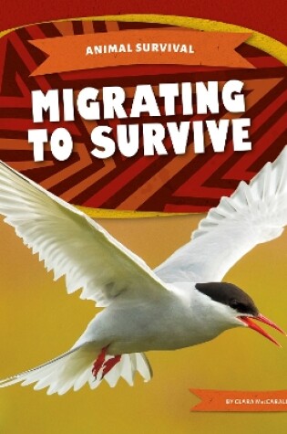 Cover of Animal Survival: Migrating to Survive
