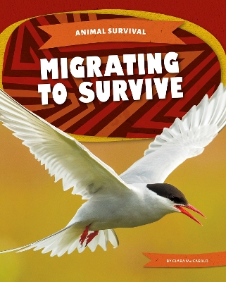 Book cover for Migrating to Survive