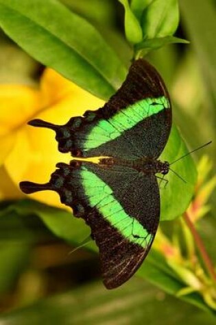 Cover of Emerald Swallow Tail Butterfly on a Leaf, for the Love of Nature