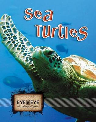 Cover of Sea Turtles