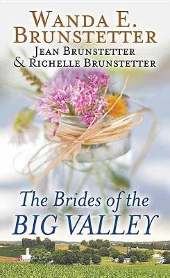 Book cover for The Brides of the Big Valley