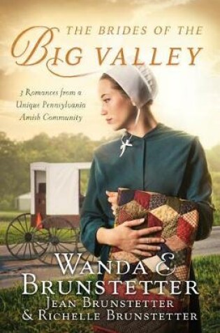 Cover of The Brides of the Big Valley