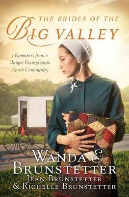 Book cover for The Brides of the Big Valley