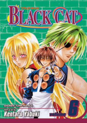 Cover of Black Cat, Vol. 6